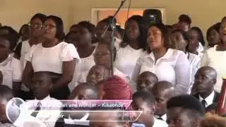 I kneel in quiet and wonder. kikaunde