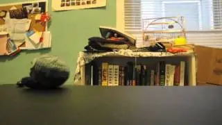 Skittle Monster