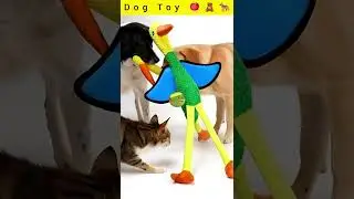 This Interactive Dog Toy Keeps Dogs Busy for Hours 🐕🦴 #Shorts #DogToy #Pets