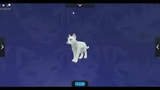 Part 3 last part of warrior cat oc's