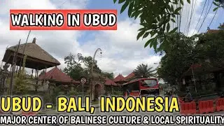 UBUD BALI | A WALK FROM MONKEY FOREST ROAD TO UBUD PALACE