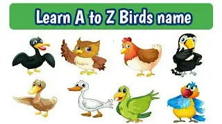 Learn A to Z birds name for kids || Alphabetical order birds name ||#atozbirdsname