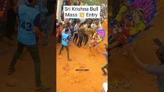 Krishna Parvati 🙏 Palaka 🤩 Bull Super Running 💥 Rayalapuram Jallikattu#runwithvinay#jallikattu2025