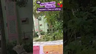 20 Reels | Shorts  Ideas  for Dessert Decorating