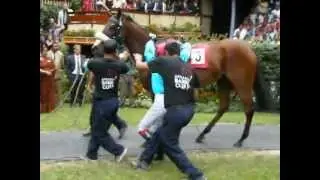 Robbie Burke and IL Saggiatore in the paddock for the Afrasia Barbe Cup 2012