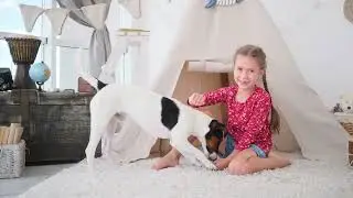 Čovek i pas - Dekodiranje nauke