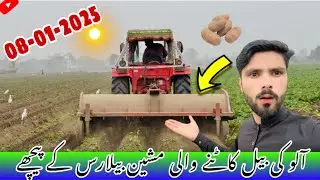 🚜 Professional Potato Vine Cutting Machine Operated Behind Belarus 510 Tractor 🌱🥔