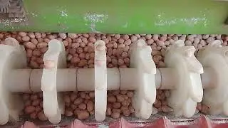 भिमूग पेरताना जमिनी मध्ये किती खोल गेला पाहिजे 🚜