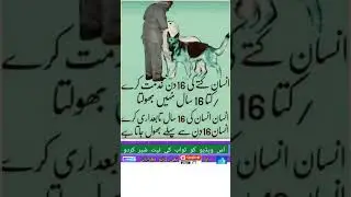 Best Islamic Quotes || Urdu Quotes ||🔥💯🤷#best#islamicstatus #allah#trending#shorts#viralvideo#quotes