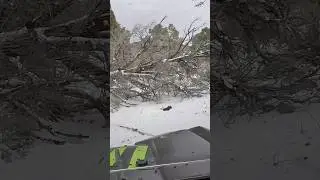 Поваленное дерево прервало нашу поездку на квадроциклах с ночевкой на природе😳 Или нет? #utv #cam...