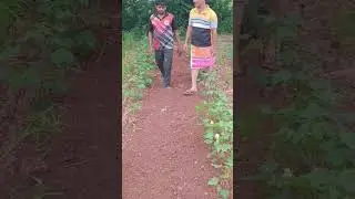 #RT185 #MiniTractor | Farming #LiveDemo | #Cultivation & #Rotavator #fieldWork #omagroindia #omagro