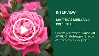 Le Rosier ALEXANDRE ASTIER &reg; Meilehagan pr&eacute;sent&eacute; par Matthias Meilland
