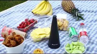 Anti-mosquito Fan - Fly Repellent Fan