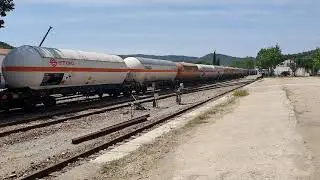 Tren hacia Huelva. EL Repilado.