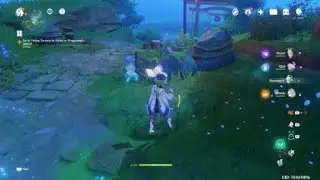 Genshin Impact bouncy cat