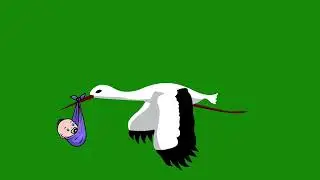 A stork flies with a child   Chromakey