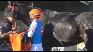 R6-Will Rogers Downs - США - 12 января 2026 г.
