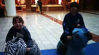 Animal ride