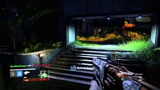 Destiny Rumble Tips