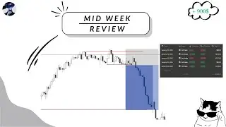 Mid Week review + 900$ weekly trades breakdown