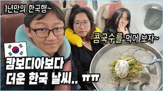 캄보디아에서 김치 파는 아내, 콩국수를 처음 맛보다! | 한국 도착 첫날 브이로그