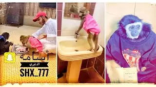 زيتونة وايفا انهبلوا وخربو العزيمه 😂 ماشاء الله