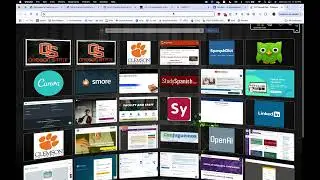 EDU 262 Name search with the the state and how to translate a website into Spanish
