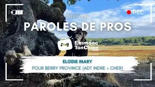 Paroles de pros - Elodie Mary : Comment le Berry Province est devenu une destination dog-friendly 🐾