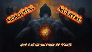 Mosquitas Muertas