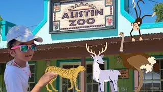 Austin Zoo Trip with Family & Friends I Explore Austin - Rhymes with Ria