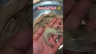 all verity sea food available ilyas fish center 🐠🐠🐠🐠🐠🐠🐠🐠
