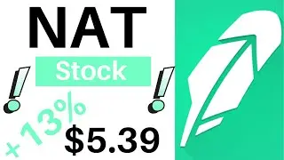 NAT Stock: Complete Breakdown Sell or Hold?