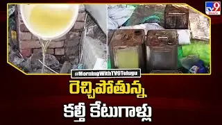 Adulterated oil racket busted in NTR District - TV9