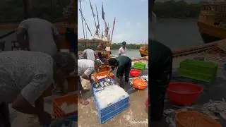 Bakkhali Frasergang Fisheries&hellip;..#bakkhali #fresergang# Fisheries # minivlog #subscribe
