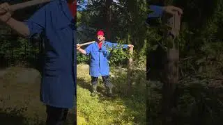 Die Baumpflanzchallenge