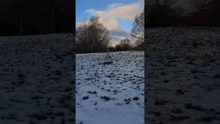 Ralph training