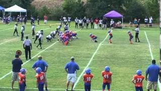 Jacob Shelton Touchdown vs. Wicomico 2014