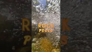 Beat the HEAT🔥ROCK POOL Paradise 😎😎