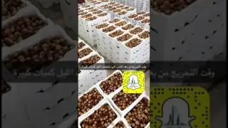 سوق التمور في الرياض