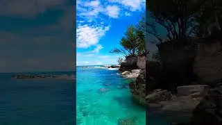 What is the Best Excursion in Nassau Bahamas?
