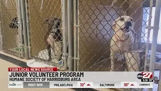Harrisburg Humane Society introduces junior volunteer program