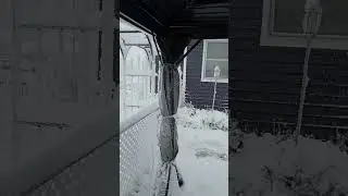 Iowa Winter 2024