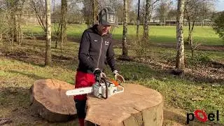 Weekbreek 2020 - week 09 - STIHL MS 201 C-M motorzaag
