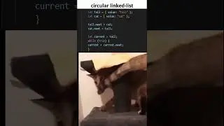 Endless Tail Chase &ndash; Circular Linked List Visualized! 😂💻 #programming