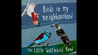 Birds in my neighbourhood - The Little Wattlebird Band