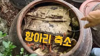꿀벌을 위한 항아리 단독주택 만들기