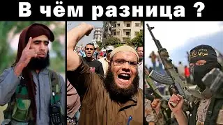 Иллюминат: ИГ*Л / Аль-Каида / Братья мусульмане &mdash; отличия исламских движений