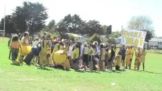 Kowhai 2013