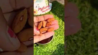 Rajma Grow At Home।🌱how to grow french beans from seed #growth #kidneybeans #gardening