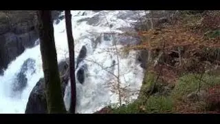 Autumn By The River Braan On History Visit Near Dunkeld Highland Perthshire Scotland
